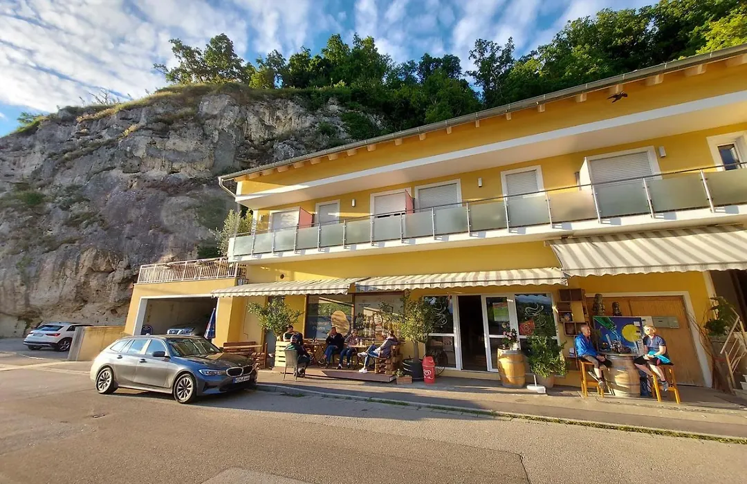 Ferienwohnung und Zimmer zum Donaublick-1